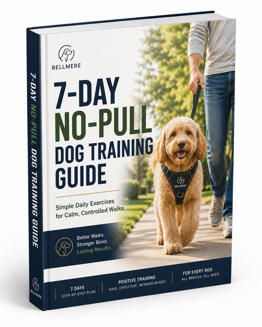 Training Program