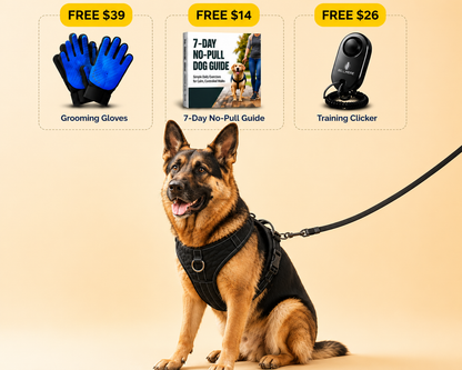 Anti-Pull Dog Harness